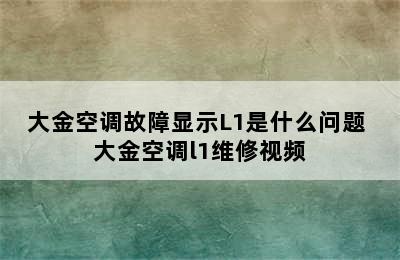 大金空调故障显示L1是什么问题 大金空调l1维修视频